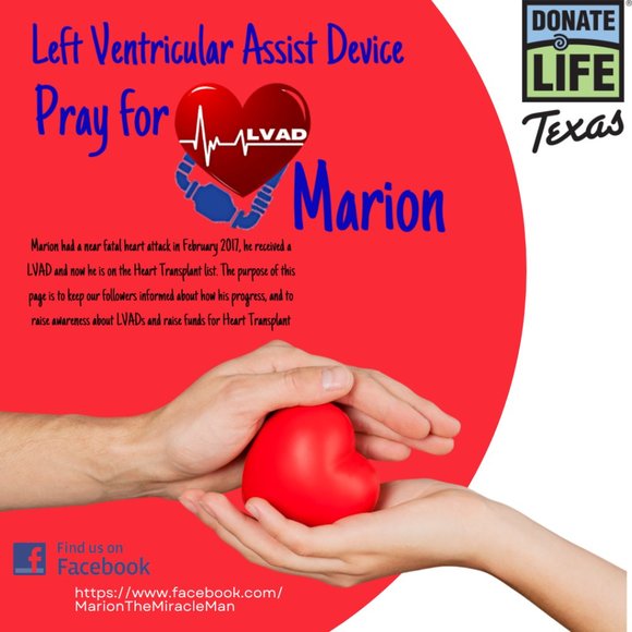 Georg Roth LA Medium Slim Fit Purple Multi Striped Cotton Polyester Long Sleeve - Picture 10 of 11